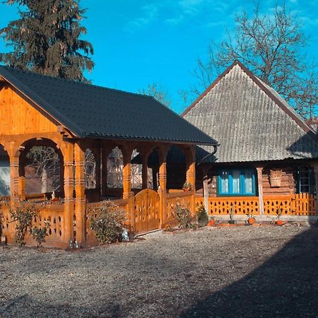 La Rodica In Vale Vendégház Aknasugatag Kültér fotó
