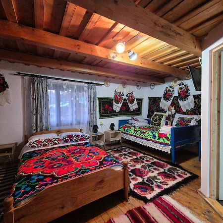 La Rodica In Vale Vendégház Aknasugatag Kültér fotó