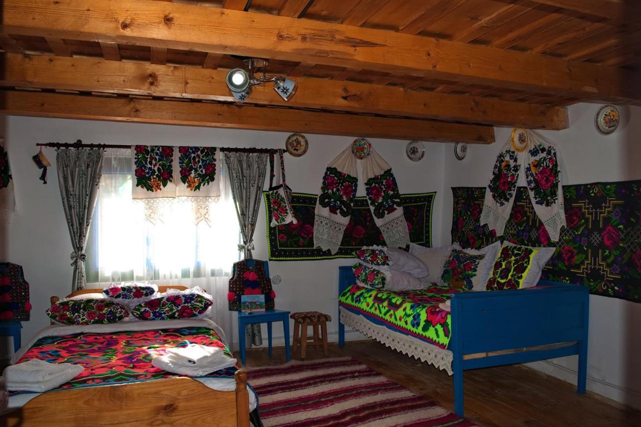 La Rodica In Vale Vendégház Aknasugatag Kültér fotó