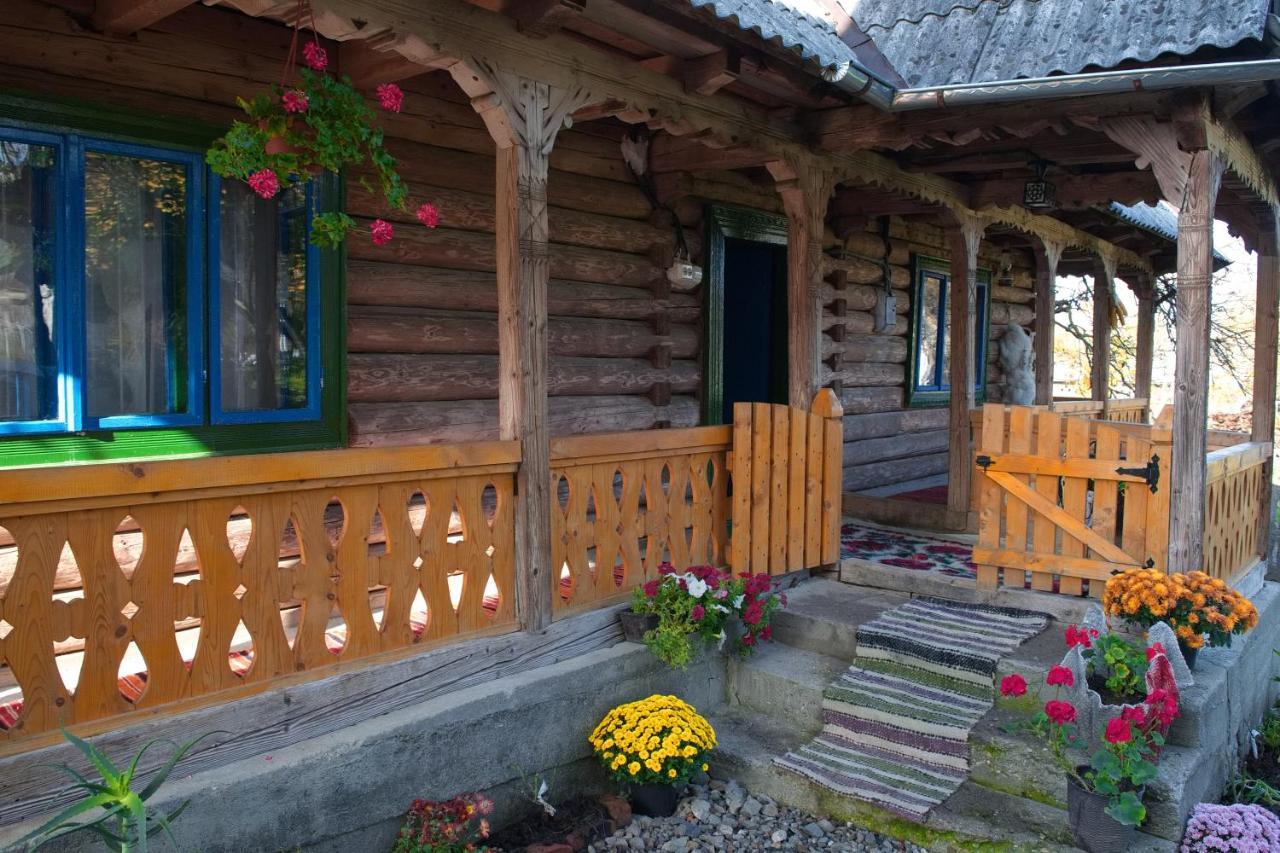 La Rodica In Vale Vendégház Aknasugatag Kültér fotó